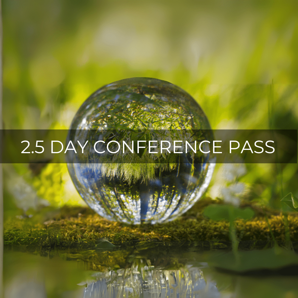 2.5 Day ConferenceOnly Pass, 24 August International Conference on