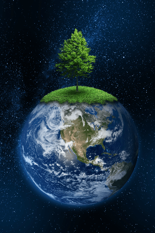 Picture of the globe with grass and a tree on top