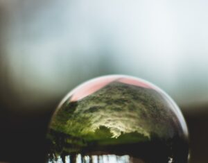 una foresta verde riflessa in una sfera di vetro
